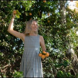 Christy Dawn Remy dress